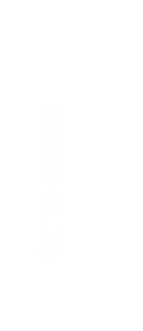 S-WOOD 4 x 35–50 mm